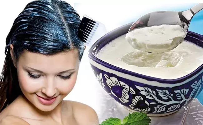curd mask for hair: జుట్టు పట్టుకుచ్చులా మెరిసిపోవాలంటే.. పెరుగుతో వివిధ రకాల మాస్కులు curd mask for hair: జుట్టు పట్టుకుచ్చులా మెరిసిపోవాలంటే.. పెరుగుతో వివిధ రకాల మాస్కులు