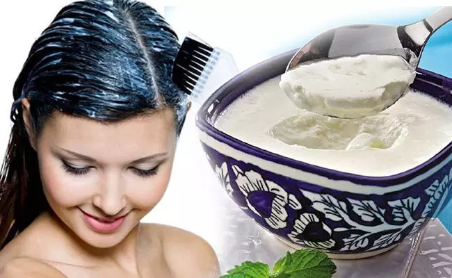 curd mask for hair: జుట్టు పట్టుకుచ్చులా మెరిసిపోవాలంటే.. పెరుగుతో వివిధ రకాల మాస్కులు curd mask for hair: జుట్టు పట్టుకుచ్చులా మెరిసిపోవాలంటే.. పెరుగుతో వివిధ రకాల మాస్కులు