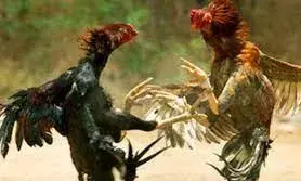 West Godavari: ఇంకా మత్తు దిగలే... తగ్గేదేలే..!