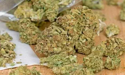 Kottagudem: భద్రాద్రిలో గంజాయి స్మగ్లర్ల హల్ చల్