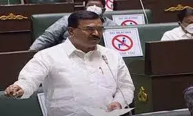 Telangana: నకిలీ విత్తనాలు అమ్మితే పీడీ యాక్ట్ తప్పదు Telangana: నకిలీ విత్తనాలు అమ్మితే పీడీ యాక్ట్ తప్పదు