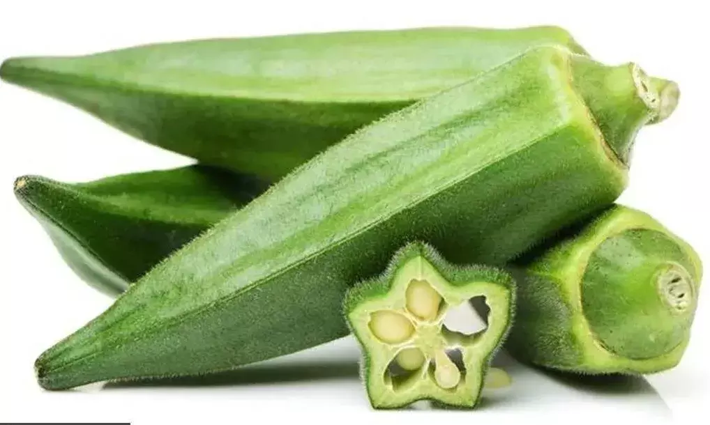 Health News: డయాబెటిస్ ఉన్నవారు బెండకాయ తింటే..