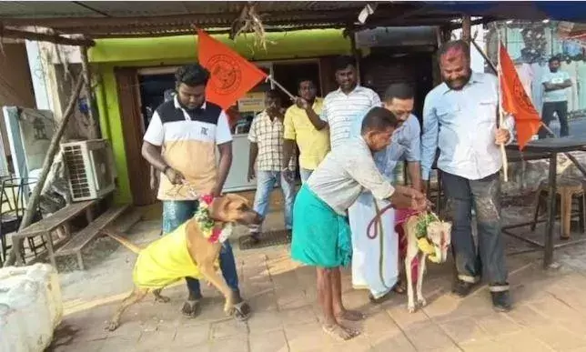 Valentines Day : ప్రేమికుల రోజు కుక్కలకు పెళ్లి