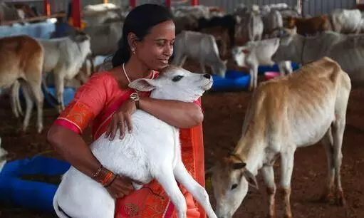 Hyderabad : గో ప్రేమికుల రోజు Hyderabad : గో ప్రేమికుల రోజు