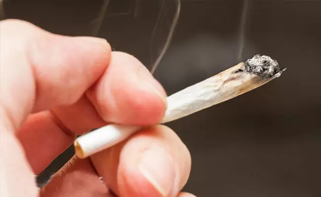 Smoke Weed Job: స్మోకర్స్కి బెస్ట్ ఆఫర్.. రూ.88 లక్షల జీతం Smoke Weed Job: స్మోకర్స్కి బెస్ట్ ఆఫర్.. రూ.88 లక్షల జీతం