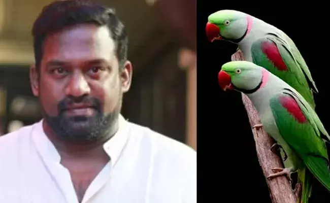 Chennai: కొంప ముంచిన హోమ్ టూర్ వీడియో.. హాస్య నటుడికి రూ.2.5 లక్షల జరిమానా Chennai: కొంప ముంచిన హోమ్ టూర్ వీడియో.. హాస్య నటుడికి రూ.2.5 లక్షల జరిమానా
