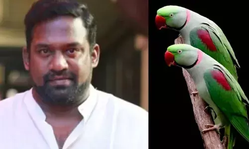 Chennai: కొంప ముంచిన హోమ్ టూర్ వీడియో.. హాస్య నటుడికి రూ.2.5 లక్షల జరిమానా Chennai: కొంప ముంచిన హోమ్ టూర్ వీడియో.. హాస్య నటుడికి రూ.2.5 లక్షల జరిమానా