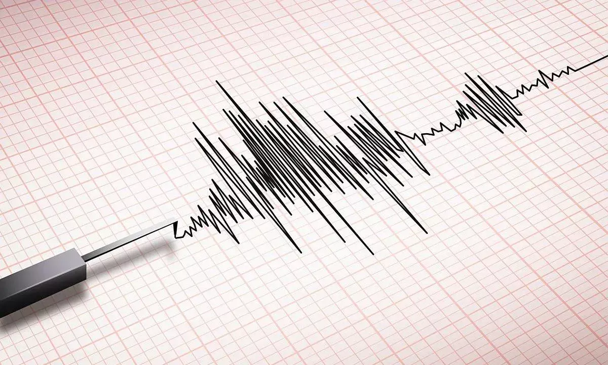 Earthquake : ఢిల్లీ, చెన్నైలలో భూకంపం.. రిక్టర్ స్కేలుపై 3.6గా నమోదు Earthquake : ఢిల్లీ, చెన్నైలలో భూకంపం.. రిక్టర్ స్కేలుపై 3.6గా నమోదు