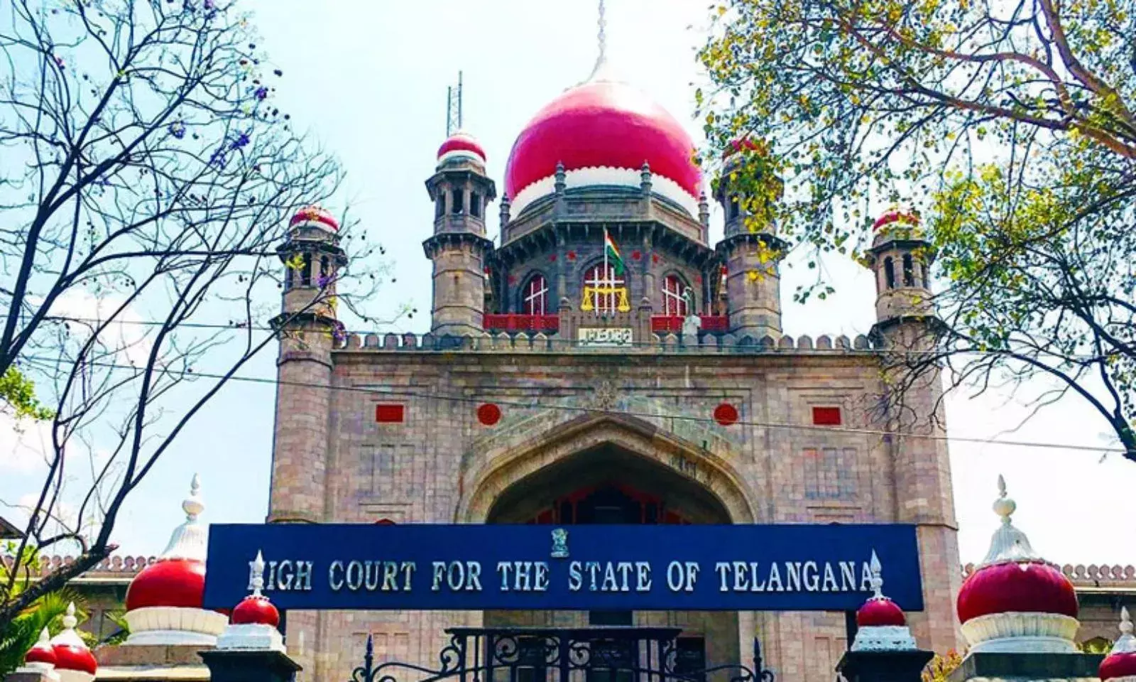 TS : కుక్కల దాడి ఘటనపై హైకోర్టు సీరియస్, సీఎస్ కు నోటీసులు TS : కుక్కల దాడి ఘటనపై హైకోర్టు సీరియస్, సీఎస్ కు నోటీసులు