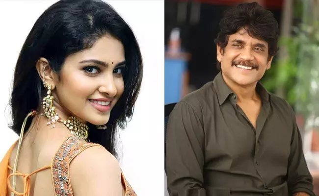 Tollywood: మిస్ ఇండియాతో జోడీ కడుతున్న నాగార్జున.. Tollywood: మిస్ ఇండియాతో జోడీ కడుతున్న నాగార్జున..
