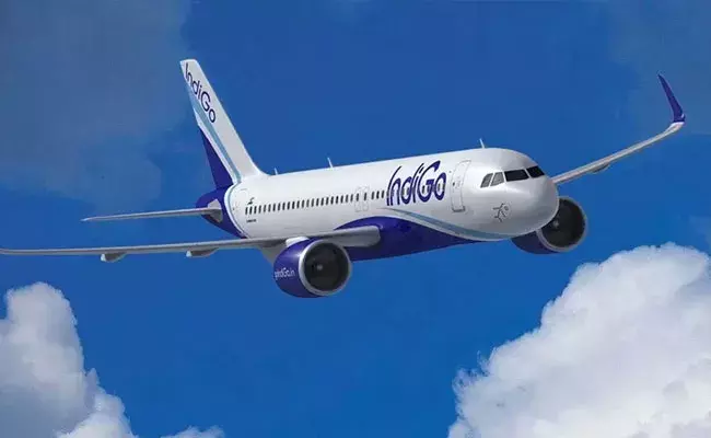 Indigo: ఇండిగో ఫ్రెండ్లీ ప్యాకేజ్.. సమ్మర్ హాలిడేస్‌ని హ్యాపీగా