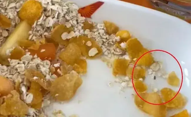 Air India: ఎయిర్ ఇండియా బిజినెస్ క్లాస్ ప్రయాణికుడి భోజనంలో పురుగులు.. Air India: ఎయిర్ ఇండియా బిజినెస్ క్లాస్ ప్రయాణికుడి భోజనంలో పురుగులు..