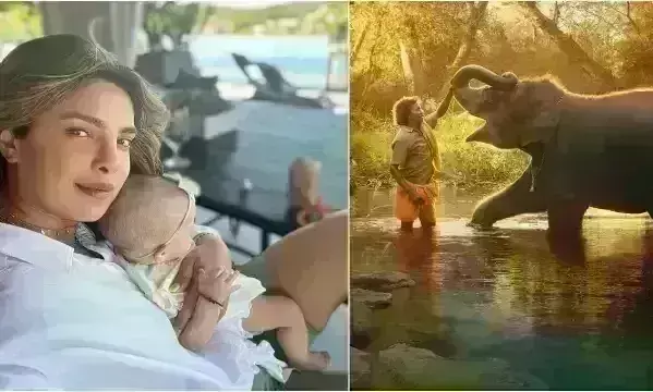 Oscars 2023: ది ఎలిఫెంట్ విష్పరర్స్ పై ప్రియాంక ప్రశంసల జల్లు Oscars 2023: ది ఎలిఫెంట్ విష్పరర్స్ పై ప్రియాంక ప్రశంసల జల్లు