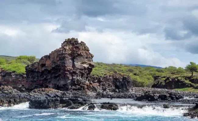 Honeymoon: హనీమూన్కు హవాయి ద్వీపం వెళ్లిన కొత్త జంట.. షిప్ మిస్ అవడంతో.. Honeymoon: హనీమూన్కు హవాయి ద్వీపం వెళ్లిన కొత్త జంట.. షిప్ మిస్ అవడంతో..