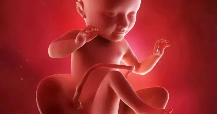 JNU : గర్భంలోనే సంస్కారాన్ని నేర్పించండి : RSS JNU : గర్భంలోనే సంస్కారాన్ని నేర్పించండి : RSS