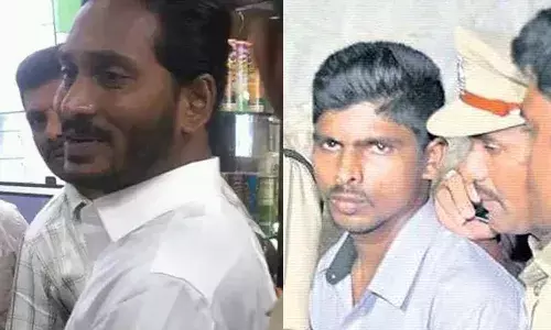AP: కోడికత్తి కేసులో కోర్టు సీరియస్‌