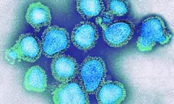 H3N2 Virus: భయపెడుతున్న కొత్త వైరస్ H3N2 ఇన్ఫ్లుఎంజా.. లక్షణాలు, చికిత్స