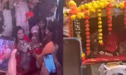 Dogs Marriage : అంగరంగ వైభవంగా కుక్కల పెళ్లి