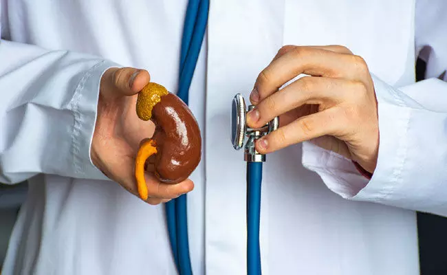 Health News: కిడ్నీ సమస్యలు.. జీవనశైలిలో మార్పులు Health News: కిడ్నీ సమస్యలు.. జీవనశైలిలో మార్పులు