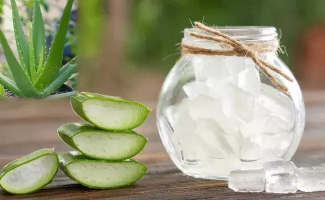 Aloe Vera Gel: వేసవి కాలంలో ముఖంపై టానింగ్.. అలోవెరా జెల్తో చెక్ Aloe Vera Gel: వేసవి కాలంలో ముఖంపై టానింగ్.. అలోవెరా జెల్తో చెక్