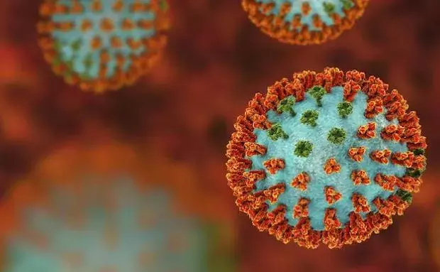 H3N2 Virus : భారత్ లో మరో మరణం, ఏడుకు చేరిన మృతులు H3N2 Virus : భారత్ లో మరో మరణం, ఏడుకు చేరిన మృతులు