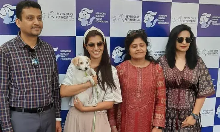 Vaccination Drive: శునకాల కోసం ప్రత్యేకం Vaccination Drive: శునకాల కోసం ప్రత్యేకం