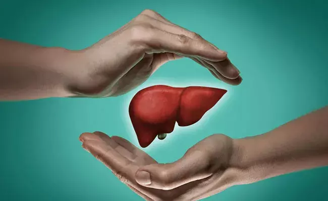 Liver Care: కాలేయ పనితీరును మెరుగుపరిచే 7 శక్తివంతమైన ఇంటి నివారణలు.. Liver Care: కాలేయ పనితీరును మెరుగుపరిచే 7 శక్తివంతమైన ఇంటి నివారణలు..