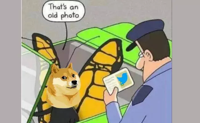 Twitter changes: డోజీకాయిన్ వచ్చింది.. ట్విట్టర్ పిట్ట ఎగిరిపోయింది.. Twitter changes: డోజీకాయిన్ వచ్చింది.. ట్విట్టర్ పిట్ట ఎగిరిపోయింది..