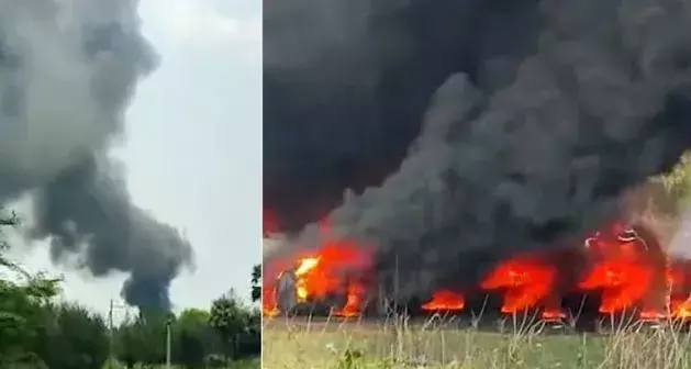 AP : కాకినాడ పామాయిల్ తోటలో అగ్నిప్రమాదం AP : కాకినాడ పామాయిల్ తోటలో అగ్నిప్రమాదం