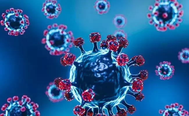 Maharastra: పెరుగుతున్న కోవిడ్ కేసులు.. మాస్క్ తప్పనిసరి చేసిన ప్రభుత్వం..