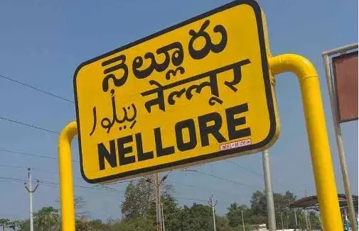 AP : నెల్లూరు జిల్లాలో అన్నదాతల పరిస్థితి దయనీయం AP : నెల్లూరు జిల్లాలో అన్నదాతల పరిస్థితి దయనీయం