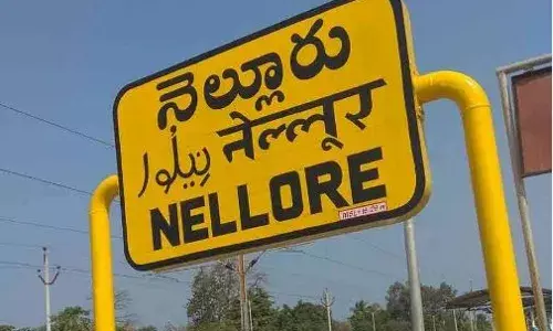 AP : నెల్లూరు జిల్లాలో అన్నదాతల పరిస్థితి దయనీయం