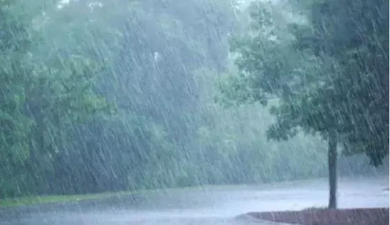 Monsoon 2023 : ఈ ఏడాది సాధారణ వర్షపాతం