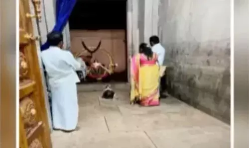 AP : కాణిపాకంలో అపచారం... గర్భగుడిలో వైసీపీ నేత ఫొటోలు