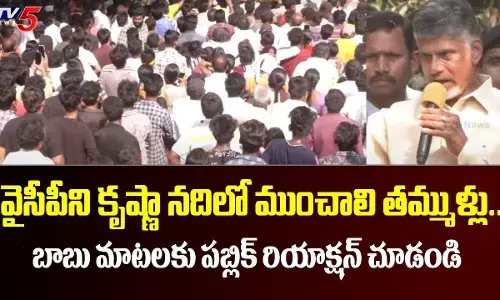 వైసీపీని కృష్ణానదిలో ముంచాలి: చంద్రబాబు వైసీపీని కృష్ణానదిలో ముంచాలి: చంద్రబాబు