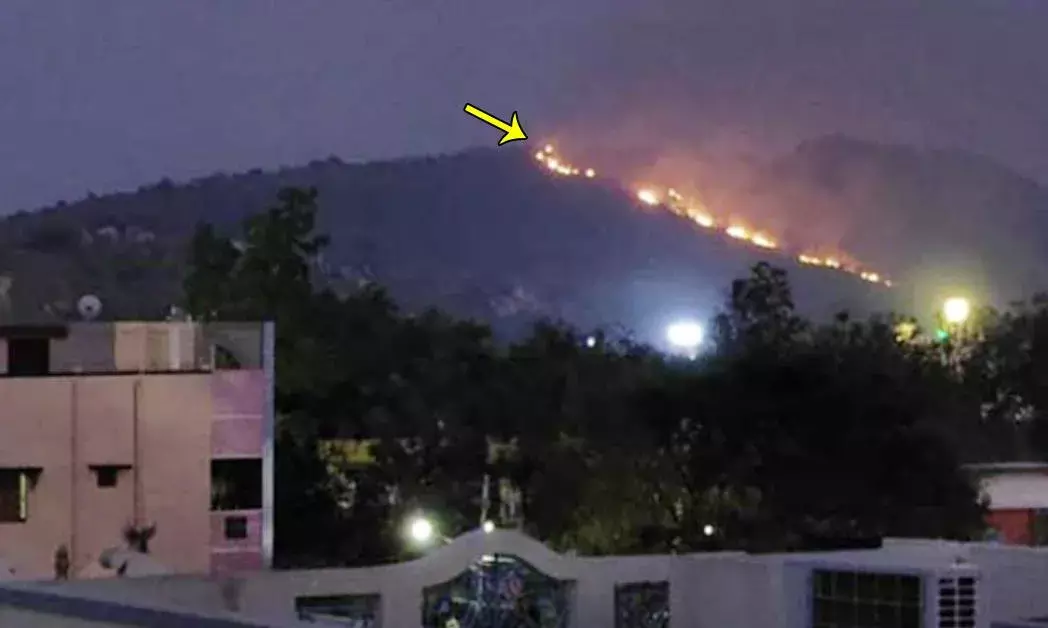 శ్రీకాలహస్తి కైలాసగిరిలో అగ్నిప్రమాదం..అగ్నికి ఆహుతైన వృక్షసంపద శ్రీకాలహస్తి కైలాసగిరిలో అగ్నిప్రమాదం..అగ్నికి ఆహుతైన వృక్షసంపద