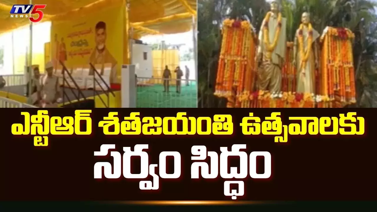 ఎన్టీఆర్ శతజయంతి ఉత్సవాలకు నిమ్మకూరు ముస్తాబు ఎన్టీఆర్ శతజయంతి ఉత్సవాలకు నిమ్మకూరు ముస్తాబు