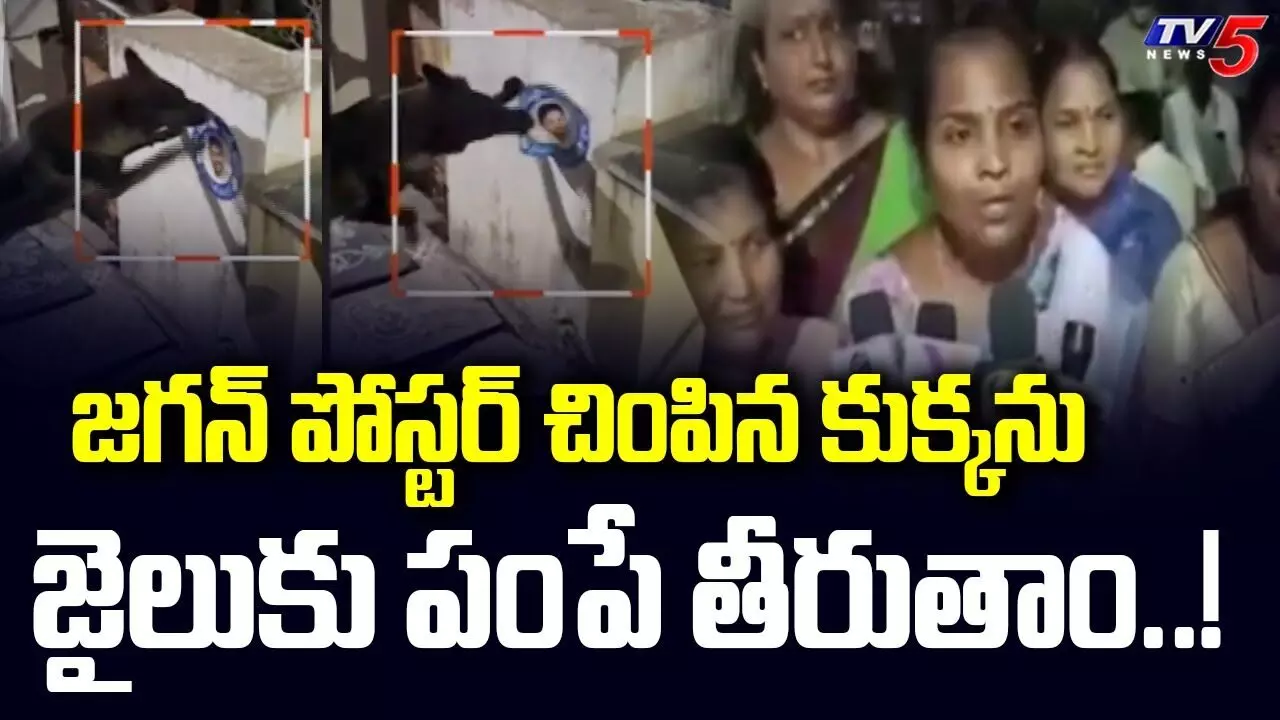 జగన్ అన్న స్టిక్కర్ పంచాయతి..కుక్కపై కేసు జగన్ అన్న స్టిక్కర్ పంచాయతి..కుక్కపై కేసు