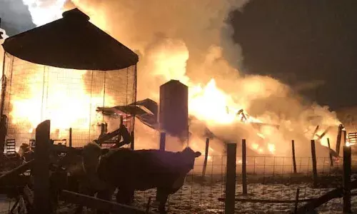 Texas: టెక్సాస్‌లో భారీ పేలుడు.. 18వేల పశువులు మృతి