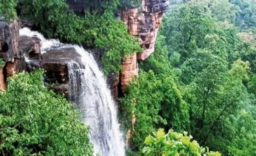 Asifabad : ఉపాధిహామీ కూలీలపై తేనెటీగల దాడి Asifabad : ఉపాధిహామీ కూలీలపై తేనెటీగల దాడి