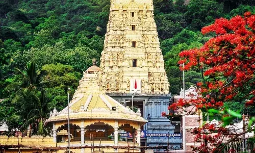 సింహాద్రీశుడికి చందనోత్సవం సింహాద్రీశుడికి చందనోత్సవం