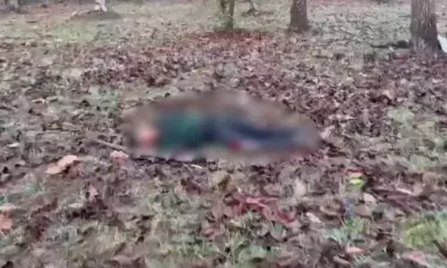 మధ్యప్రదేశ్లో ఎన్ కౌంటర్... ఇద్దరు మహిళా నక్సలైట్లు మృతి మధ్యప్రదేశ్లో ఎన్ కౌంటర్... ఇద్దరు మహిళా నక్సలైట్లు మృతి