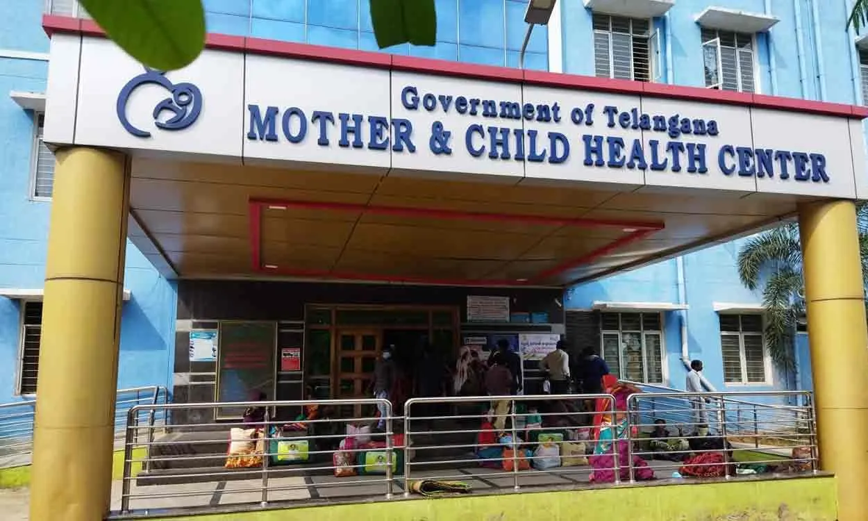 కళ్లు తెరవకముందే తల్లితో సహా... కళ్లు తెరవకముందే తల్లితో సహా...