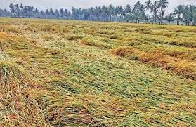ఏపీలో అకాల వర్షం.. రైతులకు అపారనష్టం