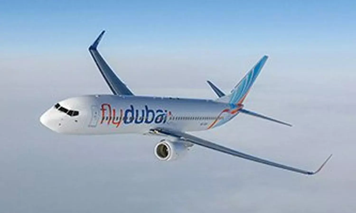 పక్షి ఢీకొట్టడంతో మంటల్లో చిక్కుకున్న దుబాయ్ ఫ్లైట్ పక్షి ఢీకొట్టడంతో మంటల్లో చిక్కుకున్న దుబాయ్ ఫ్లైట్