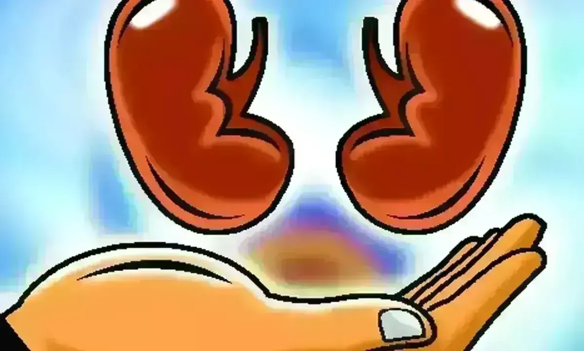 విశాఖలో కిడ్నీ గ్యాంగ్ కలకలం విశాఖలో కిడ్నీ గ్యాంగ్ కలకలం