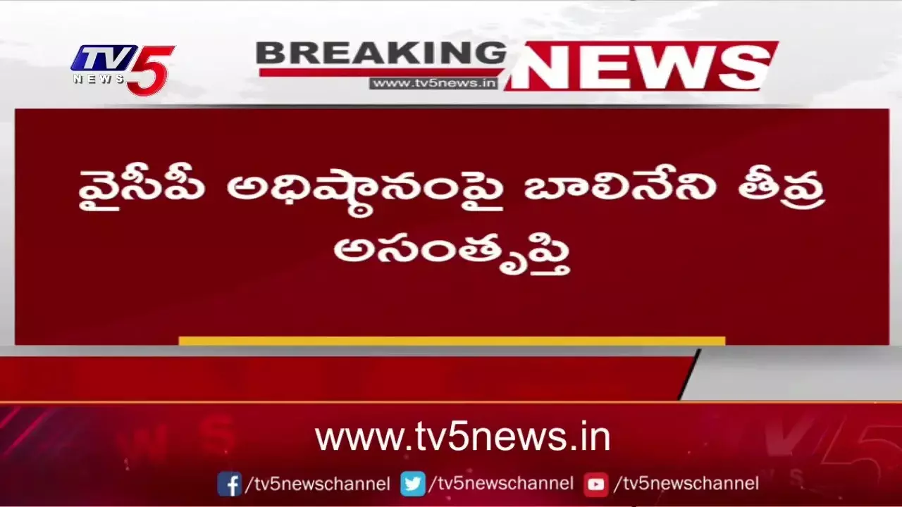 వైసీపీలో బాలినేని సెగలు..