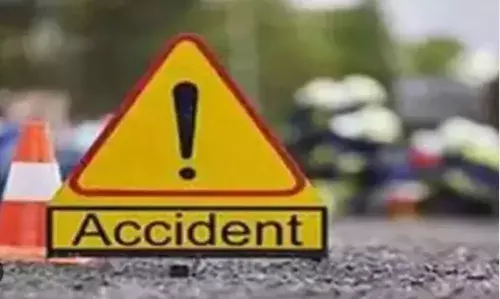 Srikakulam : గొర్రెల మందపైకి  దూసుకెళ్లిన వ్యాన్‌.. 65మృతి