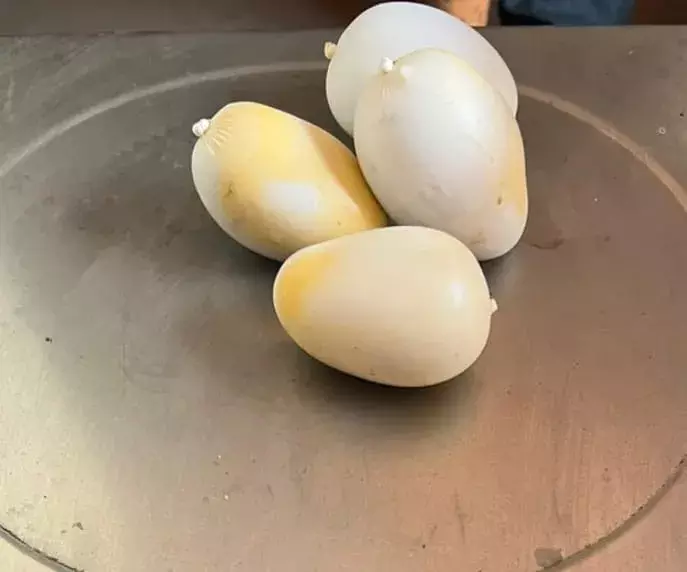 Gold Smuggling : సినీ ఫక్కీలో 679 గ్రాముల బంగారం పట్టివేత Gold Smuggling : సినీ ఫక్కీలో 679 గ్రాముల బంగారం పట్టివేత