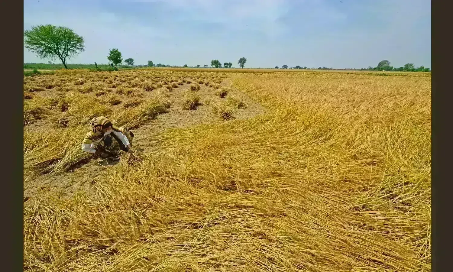 రైతుల నష్టపరిహారాన్నీ మింగేస్తున్న జగన్ సర్కారు